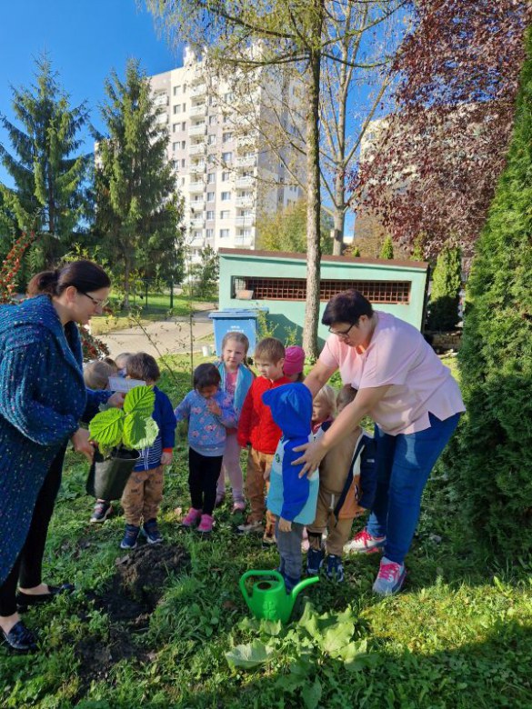 Dzień Drzewa: październik 2024 - Zdjęcie 32