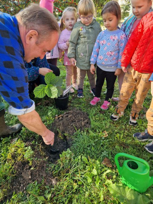 Dzień Drzewa: październik 2024 - Zdjęcie 35