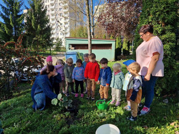 Dzień Drzewa: październik 2024 - Zdjęcie 37