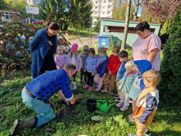 Dzień Drzewa: październik 2024 - Zdjęcie 45