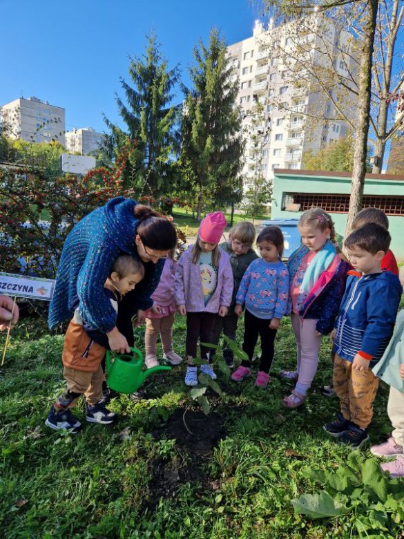 Dzień Drzewa: październik 2024 - Zdjęcie 46