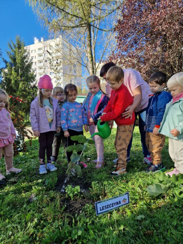 Dzień Drzewa: październik 2024 - Zdjęcie 52