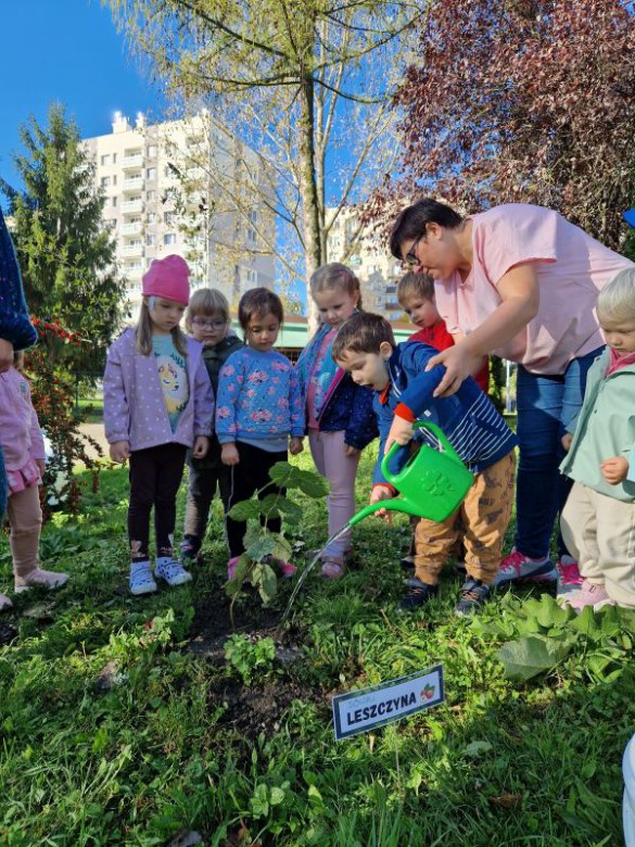 Dzień Drzewa: październik 2024 - Zdjęcie 53