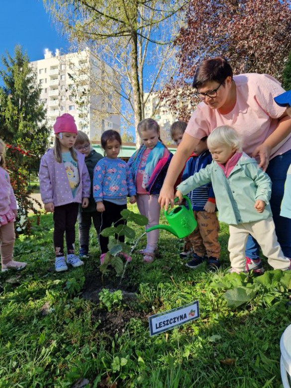 Dzień Drzewa: październik 2024 - Zdjęcie 54