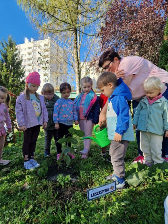 Dzień Drzewa: październik 2024 - Zdjęcie 55