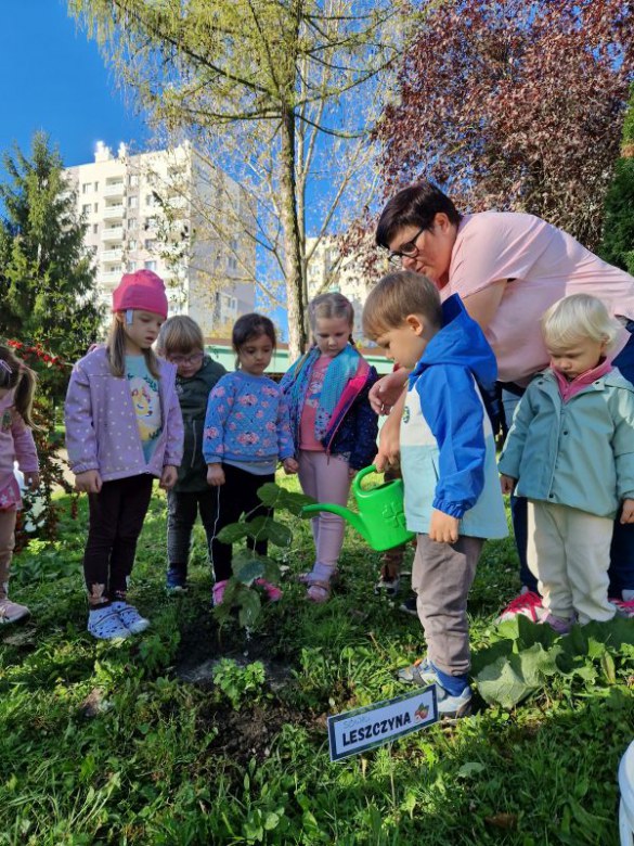 Dzień Drzewa: październik 2024 - Zdjęcie 56