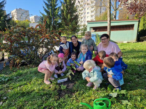 Dzień Drzewa: październik 2024 - Zdjęcie 59