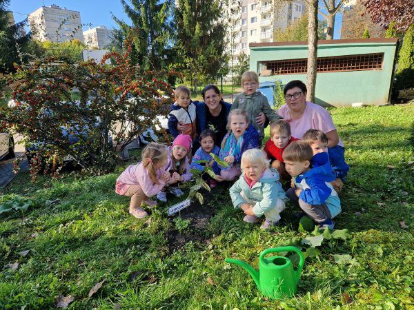 Dzień Drzewa: październik 2024 - Zdjęcie 61