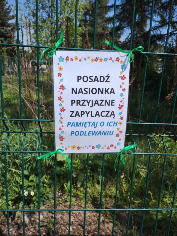 Muminki: Kwiecień 2025 - Zdjęcie 52