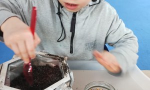 Muminki: Kwiecień 2025 - Zdjęcie 10