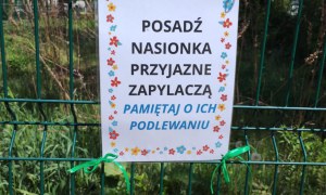 Muminki: Kwiecień 2025 - Zdjęcie 52