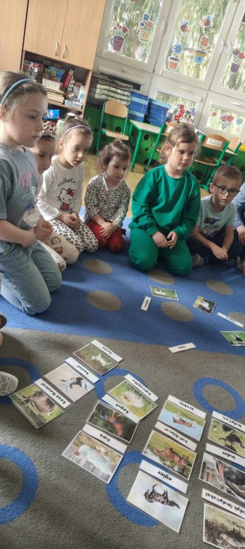 Żabki: Kwiecień 2025 - Zdjęcie 81