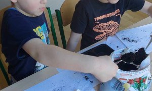 Żabki: Kwiecień 2025 - Zdjęcie 43