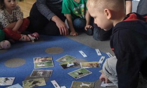 Żabki: Kwiecień 2025 - Zdjęcie 92