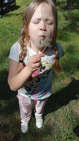 Misie: Kwiecień 2025 - Zdjęcie 280