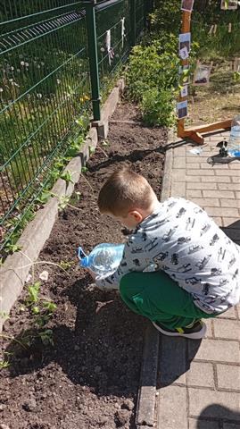 Misie: Kwiecień 2025 - Zdjęcie 282