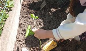 Misie: Kwiecień 2025 - Zdjęcie 8