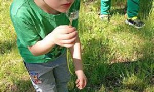 Misie: Kwiecień 2025 - Zdjęcie 9