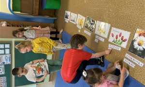 Misie: Kwiecień 2025 - Zdjęcie 44