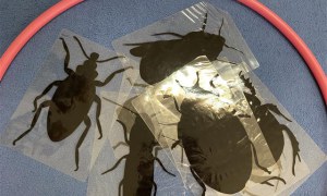 Misie: Kwiecień 2025 - Zdjęcie 79