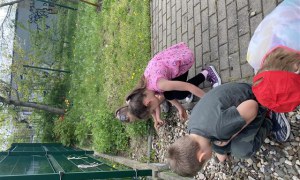 Misie: Kwiecień 2025 - Zdjęcie 207