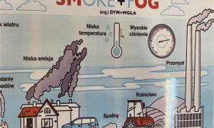 Misie: Kwiecień 2025 - Zdjęcie 252