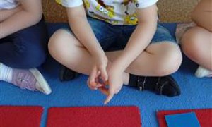 Misie: Kwiecień 2025 - Zdjęcie 256