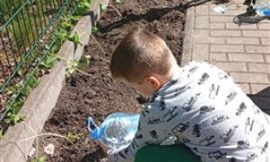Misie: Kwiecień 2025 - Zdjęcie 282