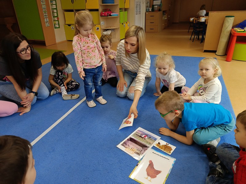 Sówki: Kwiecień 2025 - Zdjęcie 7