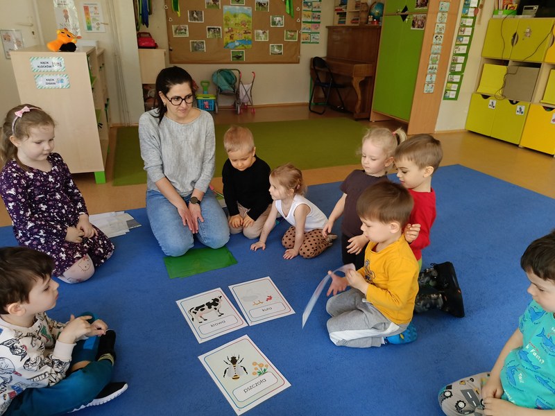 Sówki: Kwiecień 2025 - Zdjęcie 78