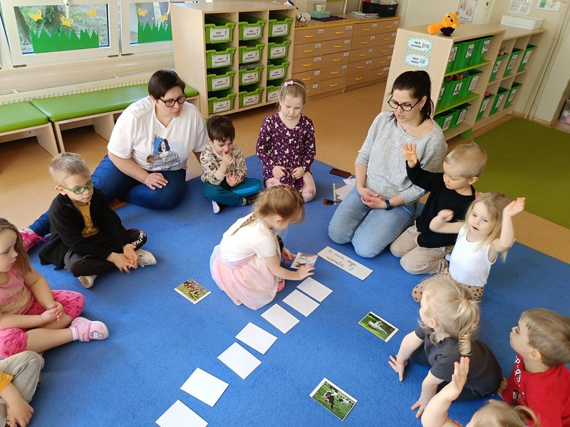Sówki: Kwiecień 2025 - Zdjęcie 87