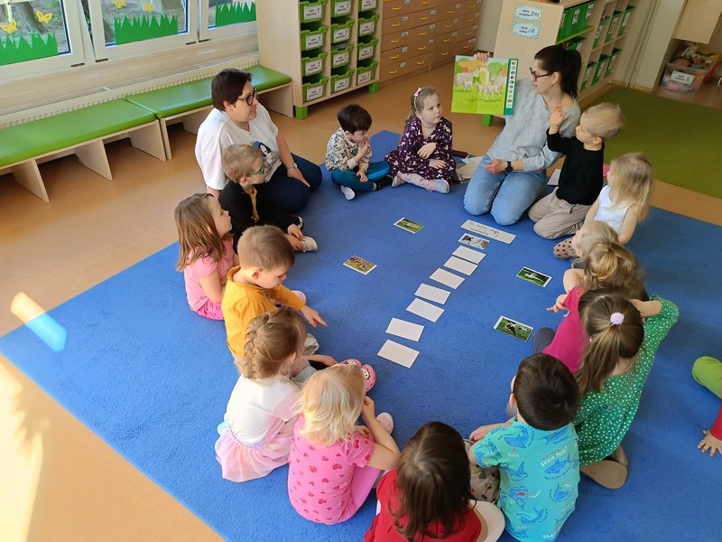 Sówki: Kwiecień 2025 - Zdjęcie 88