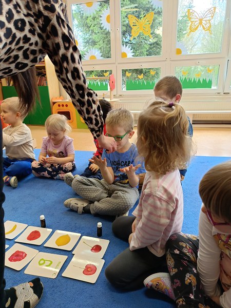 Sówki: Kwiecień 2025 - Zdjęcie 259