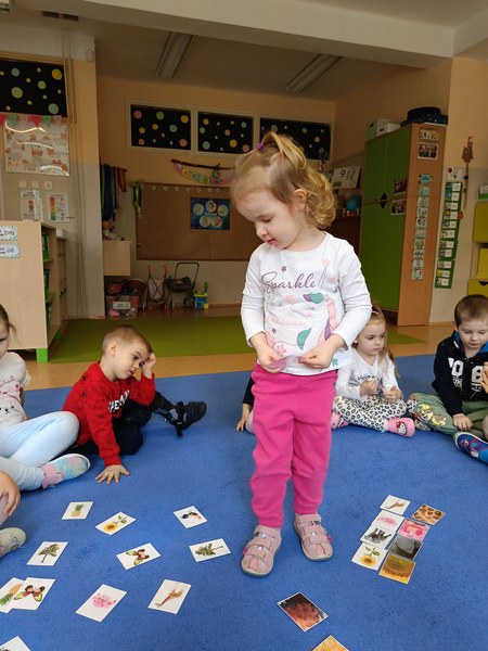 Sówki: Kwiecień 2025 - Zdjęcie 298