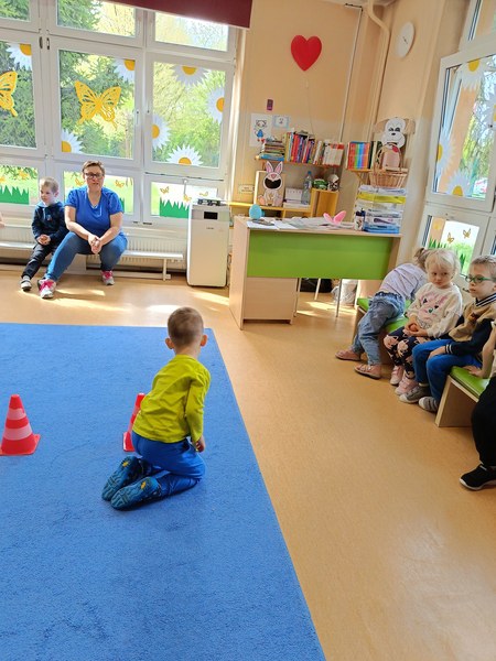 Sówki: Kwiecień 2025 - Zdjęcie 381