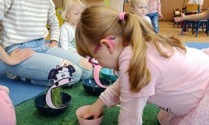 Sówki: Kwiecień 2025 - Zdjęcie 16