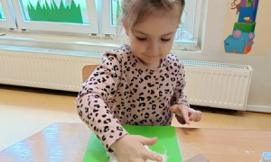 Sówki: Kwiecień 2025 - Zdjęcie 29