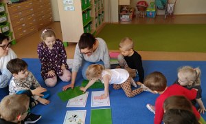 Sówki: Kwiecień 2025 - Zdjęcie 72