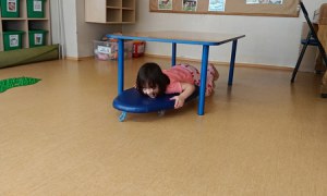 Sówki: Kwiecień 2025 - Zdjęcie 111