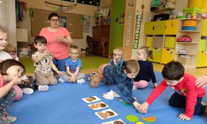Sówki: Kwiecień 2025 - Zdjęcie 222
