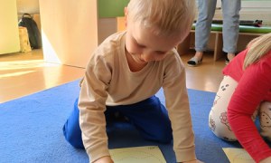 Sówki: Kwiecień 2025 - Zdjęcie 328