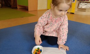 Sówki: Kwiecień 2025 - Zdjęcie 333