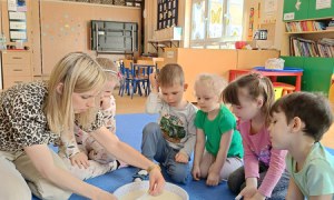 Sówki: Kwiecień 2025 - Zdjęcie 406