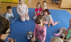 Sówki: Kwiecień 2025 - Zdjęcie 429