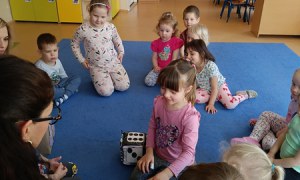 Sówki: Kwiecień 2025 - Zdjęcie 430