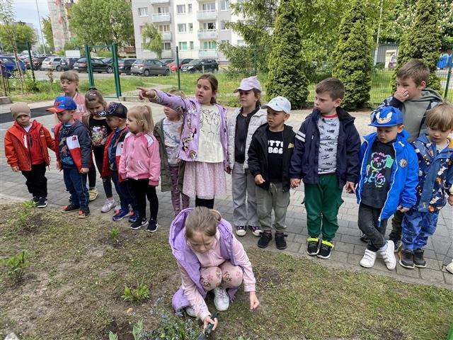 Dzień Polskiej Niezapominajki 15.05.2025 - Zdjęcie 59