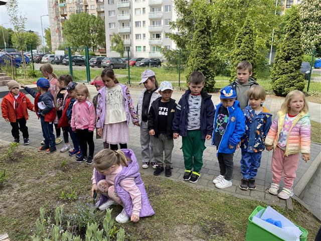 Dzień Polskiej Niezapominajki 15.05.2025 - Zdjęcie 60