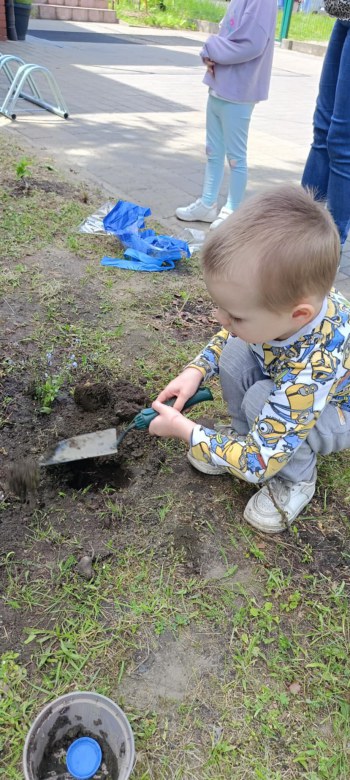 Dzień Polskiej Niezapominajki 15.05.2025 - Zdjęcie 130