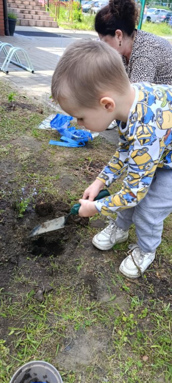 Dzień Polskiej Niezapominajki 15.05.2025 - Zdjęcie 140