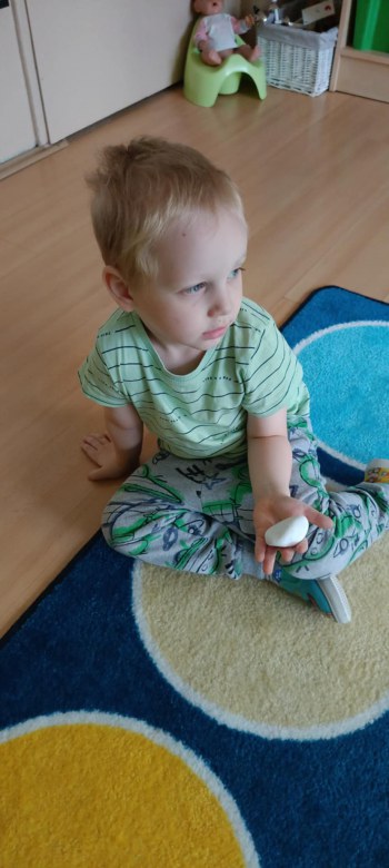 Dzień Polskiej Niezapominajki 15.05.2025 - Zdjęcie 137